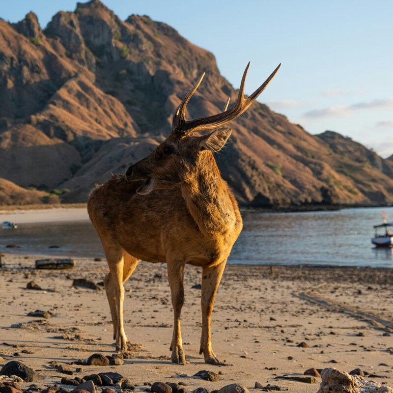 ©Photo by Riduwan Gustama on Unsplash